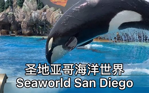 圣地亚哥海洋世界 海狮 海豚 虎鲸表演 看各种海洋动物 Seaworld San Diego