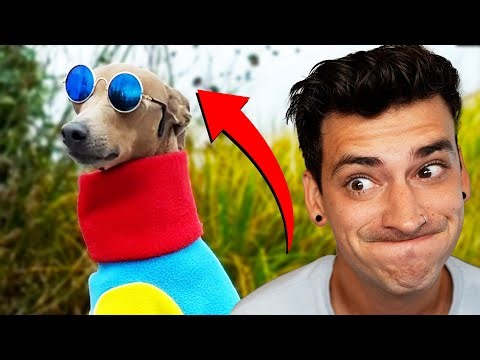 TRY NOT TO LAUGH 31!