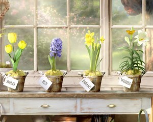 Birthday Garden Interactive