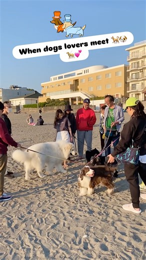 When dogs lovers 🦮🐩🐶🐕‍🦺meet in Japan 🇯🇵 💕