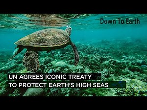 UN member states agreed on the first international treaty to protect the high seas