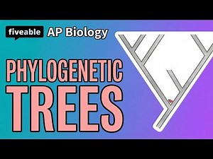 AP Biology - Unit 7: Phylogenetic Trees & Cladograms