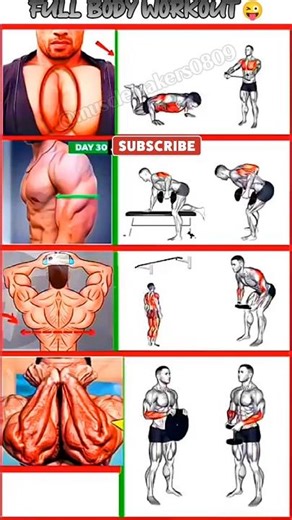8 Exercises For A Full Body Workout At Home (No Equipment)🔥#trending #youtube #fitness #shorts