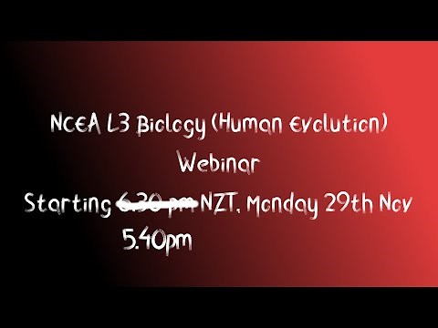 NCEA Level 3 Biology: Human Evolution AS 91606