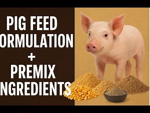 🧪 “Pig Nutrition 101: What’s Inside a Perfect Pig Feed and Premix Blend