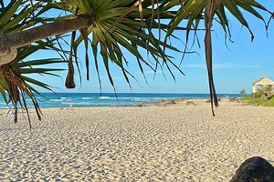 Kirra Beach Gold Coast | Must Do Gold Coast