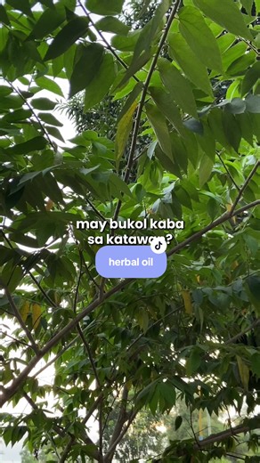 Nature's Miracle Bitoon Herbal Oil for Body Issues