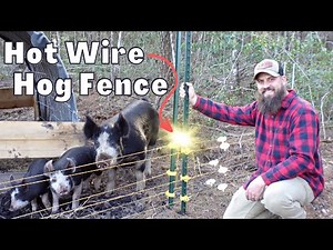 Easy, Electric Wire Fence Install | Perfect for Hogs!