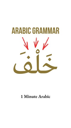 Arabic has words that show position. One of them is: خَلْفَ — behind. Example from the video: الشَّجَرَةُ — the tree خَلْفَ الشَّجَرَةِ — behind the tree More examples: البَيْتُ — the house خَلْفَ البَيْتِ — behind the house السَّيَّارَةُ — the car خَلْفَ السَّيَّارَةِ — behind the car Notice how the noun after خَلْفَ changes its ending. These position words appear often in Arabic sentences and classical texts. 📖 If you want to understand the Qur’an and not just read it, link in bio. #learnarab