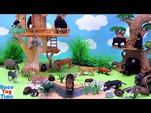 Jungle and Forest Animals Toys For Kids - Learn Animal Names