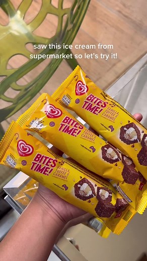 Discover the New Selecta Bites Ice Cream!