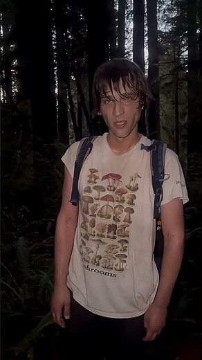 Getting Lost In The Old Growth Redwood Forest - Finding The Tallest Redwood Tree In The World