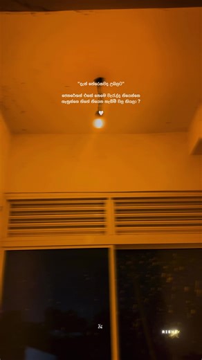 Inspirational Quotes to Brighten Your Day