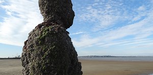 Glues inspired by nature will give us faster ships, surgical adhesives and sticky car tyres