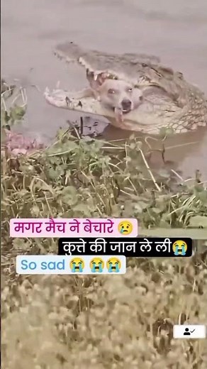 mot ka कोई भरो sa ni hai 😭,😅#nature ##viralvideos