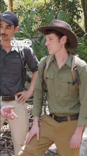 🌳 The Mayan Tree of Life – Where Humanity Began | Ancient Civilization Mystery