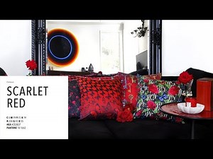 Color Trends 2018 | Scarlet Red