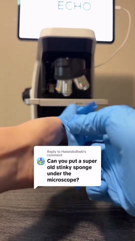 The Hidden World of Microscopic Science | You Won’t Believe This!