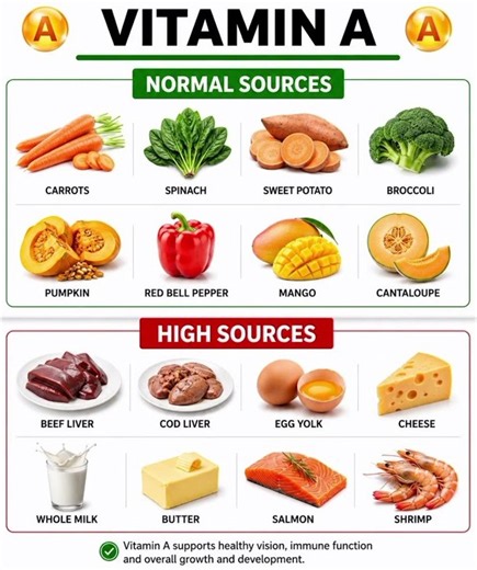 Normal vs High Vitamin A Foods 🥕 | Which Foods Have the Most Vitamin A?