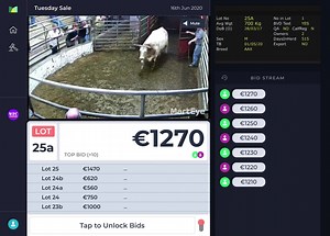 LIVE Action from Enniscorthy Mart | MartEye