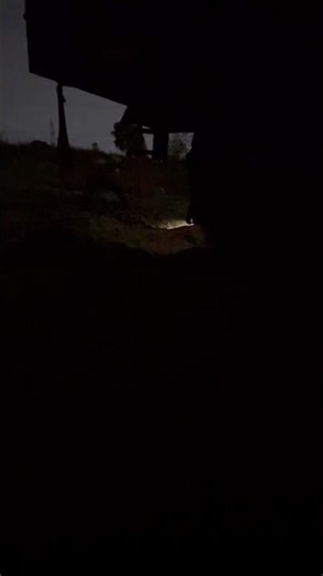 Horror hello sound effect