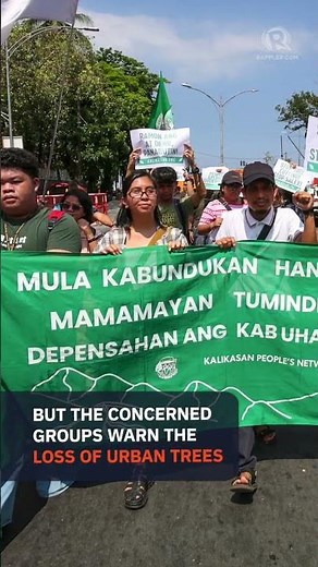 DENR permit fails to quell uproar over Manila tree-cutting