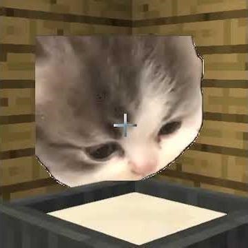 Meme Animals Cats and Dogs part 27 in Minecraft ( shorts version )
