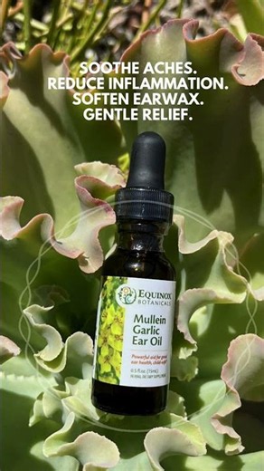Equinox Botanicals Mullein Garlic Ear Oil: Gentle, Natural Ear Relief