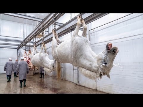 Inside the Premium Horse Leather Factory: Crafting Luxury Jackets (Full Process)