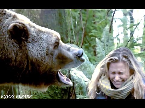 Angry Bear Fight Scene HD