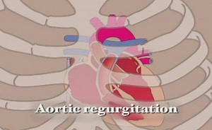 Sorry, we have encountered a problem. - Alexander Street, a ProQuest Company