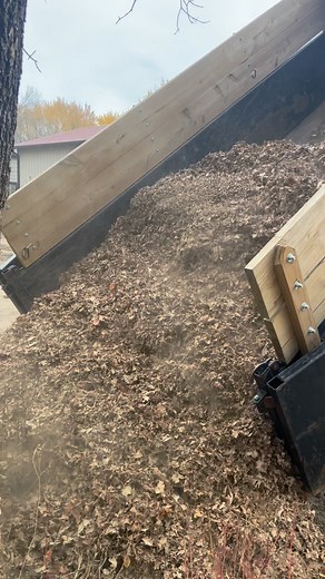 1.2K views | Fall clean up is underway this week!  We don’t bag leaves and toss them. We use them to protect and cover tender perennials through winter and keep leaves out of the landfill! | Willow Creek Landscape + Design | Facebook