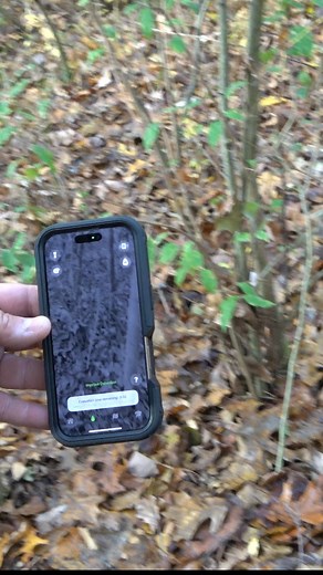 The new TracknTrail app is awesome for looking for blood. Use: Deer25 | Corey's Stories