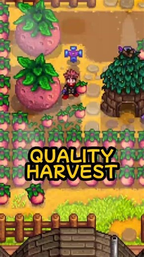 The Most Unexpected Plot Twist in Stardew Valley