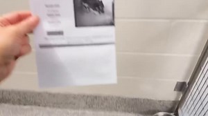 24K views · 1.6K reactions | 1/25-What a darling little puppy “Jonah”...