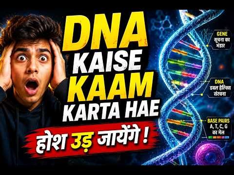 DNA AMAZING WORLD