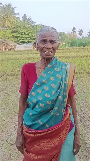 10 நாட்களில் கேழ்வரகு வளர்ச்சி 🌱 | Patti Field Update#கேழ்வரகு#Kelvaragu#MilletFarming