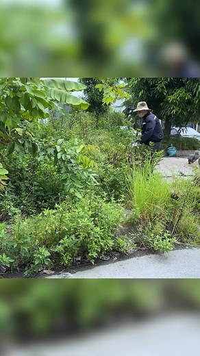 3.2K views · 68 reactions | The actions of the woman and man surprised us while cleaning up on the sidewalk P2 #clean #cleaning #cleanup #cleaninghouse #cuttingdowntrees | Epic Cleanup | Facebook