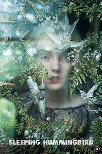 Sleeping Hummingbird | Lyrics, Song Meanings & Music Videos