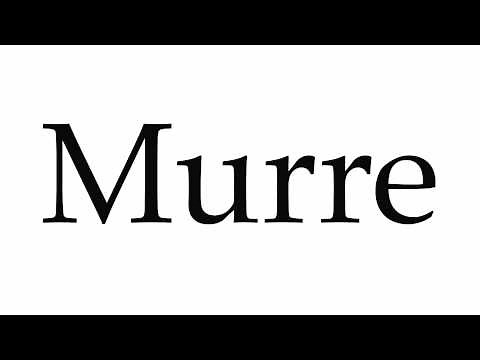 How to Pronounce Murre