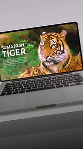 Text effect #powerpointpresentation #presentationtips #powerpointdesign #pptdesign | John Rey Bastida