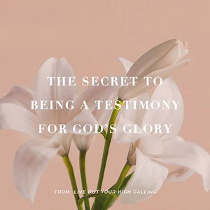 The secret to being a testimony for God’s glory — People of the world expect a high moral standard from us—and they should! As Christians, we are called to live a Christ-like life. Join Joseph Prince in this practical and powerful message and learn the key to living a life of moral excellence. Find out more: http://bit.ly/2GzN4gv | Joseph Prince