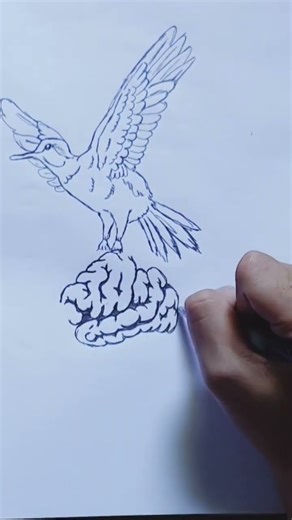 Bird Standing on Brain with Falling Feathers | Light Mind / Free Thinking Symbolic Pencil Sketch