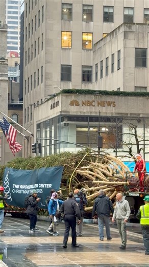 8.7M views · 150K reactions | The Rockefeller Christmas Tree just arrived to Rockefeller Center Plaza | New York City Photos | Facebook