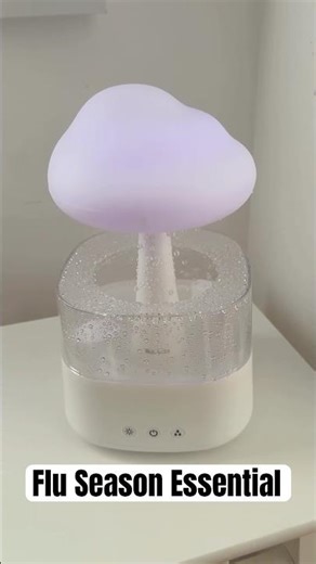 Why We Use a Humidifier All Winter Long