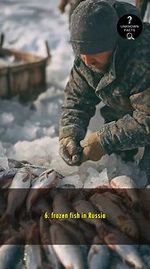 Strangest Things Found on the Beach | Unknown Facts