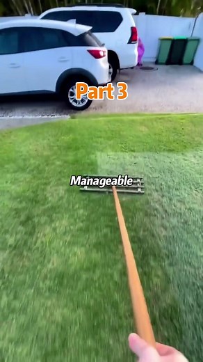 Experiences of a First-semester College Student