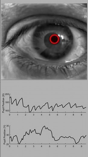 Video-based eye tracking of a human subject