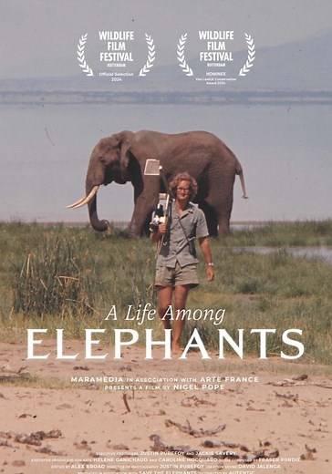 A Life Among Elephants - movie: watch streaming online