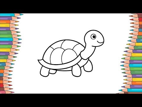 How to Easily Colouring a Turtle